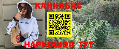 прущие крисы Можга