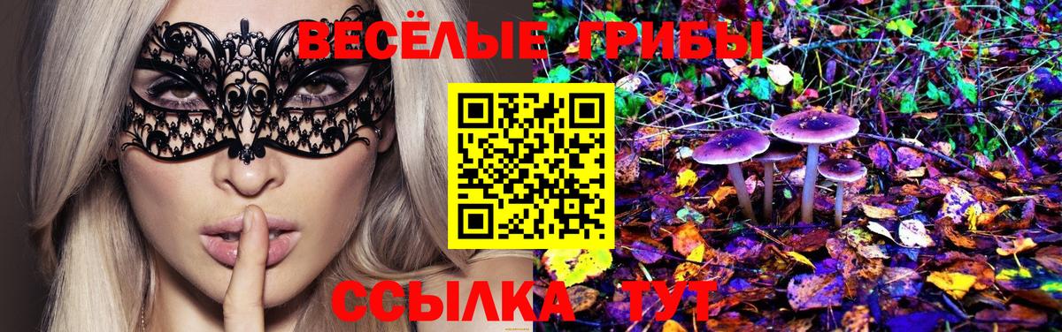 Таганрог  Галлюциногенные грибы Magic Shrooms  Галлюциногенные грибы MAGIC MUSHROOMS  Вход с VPN 